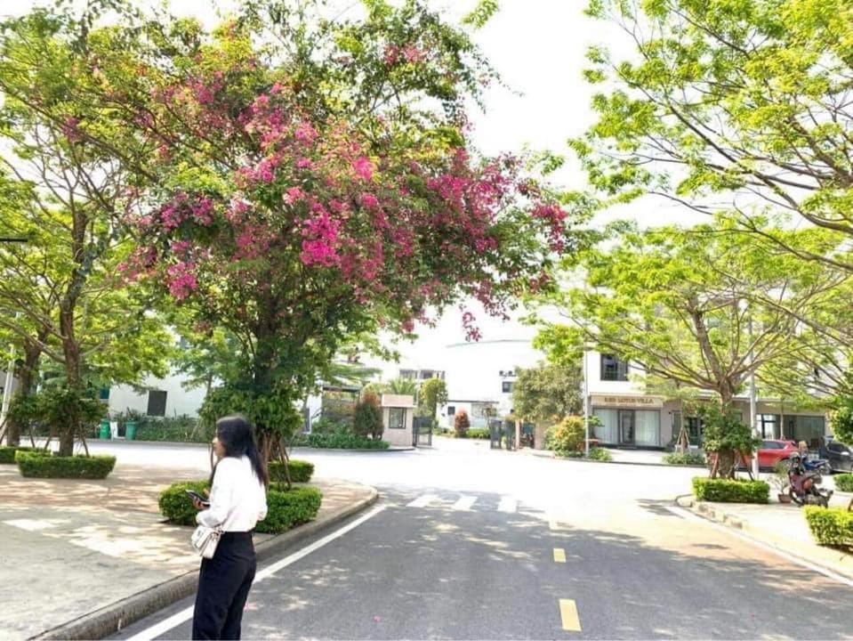 Haradise Suite Villa & Homestay Ha Long Exterior photo